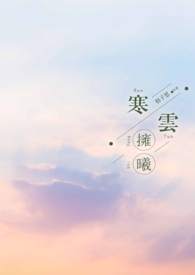 寒云野鹤