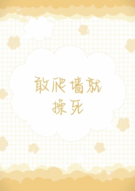 爬墙啥意思?