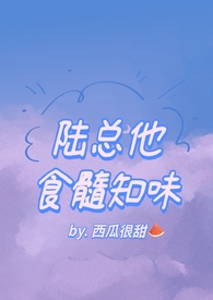 陆总他宠妻如命