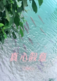 真心假意歌曲在线听