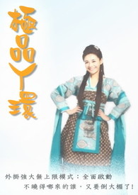 极品丫鬟小说