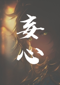 妄心小说怎么样